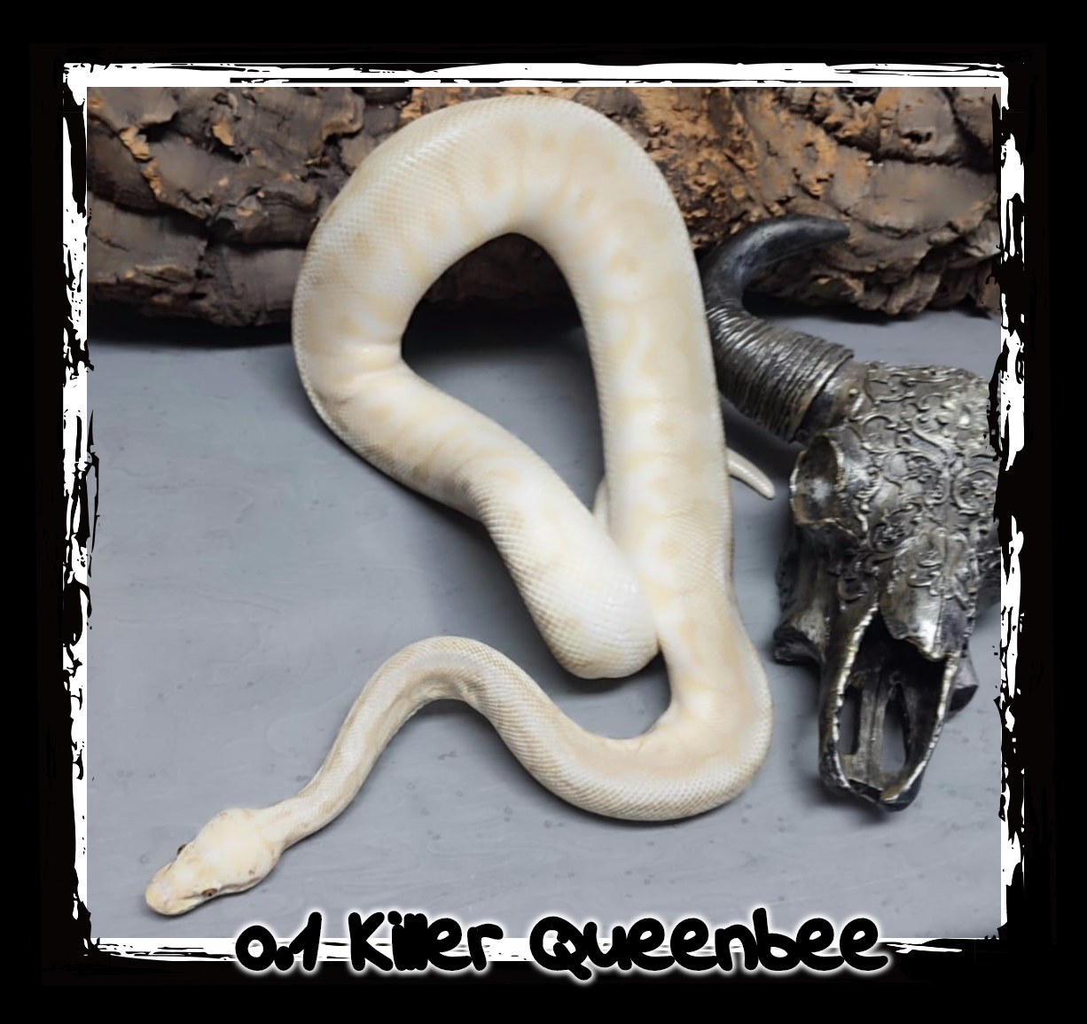 0.1 Killer Queen Bee